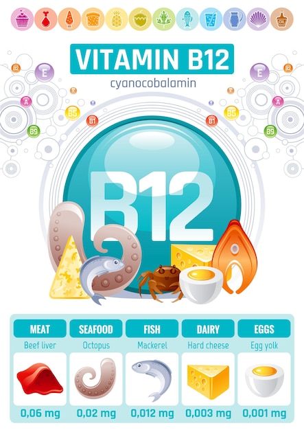 Premium Vector | Vitamin B12 Cobalamin Food Infographic Poster. Healthy ...