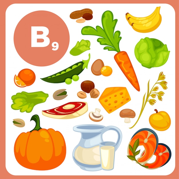B 12 vitamin foods