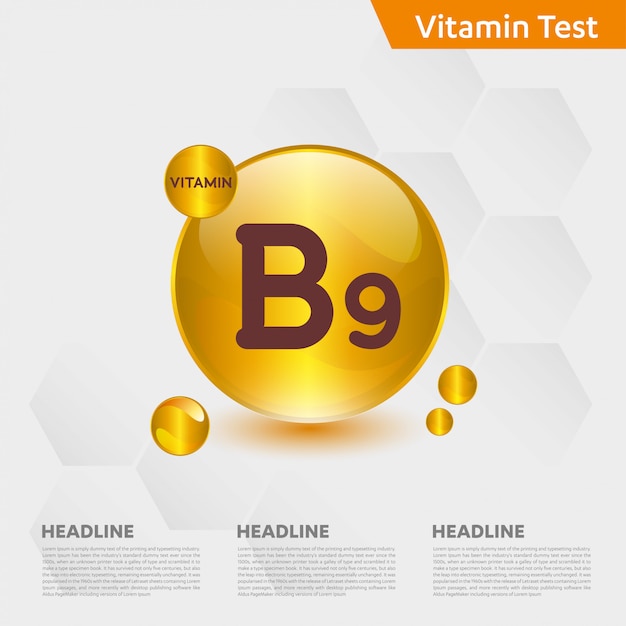 Vitamin B9 Infographic Template Premium Vector