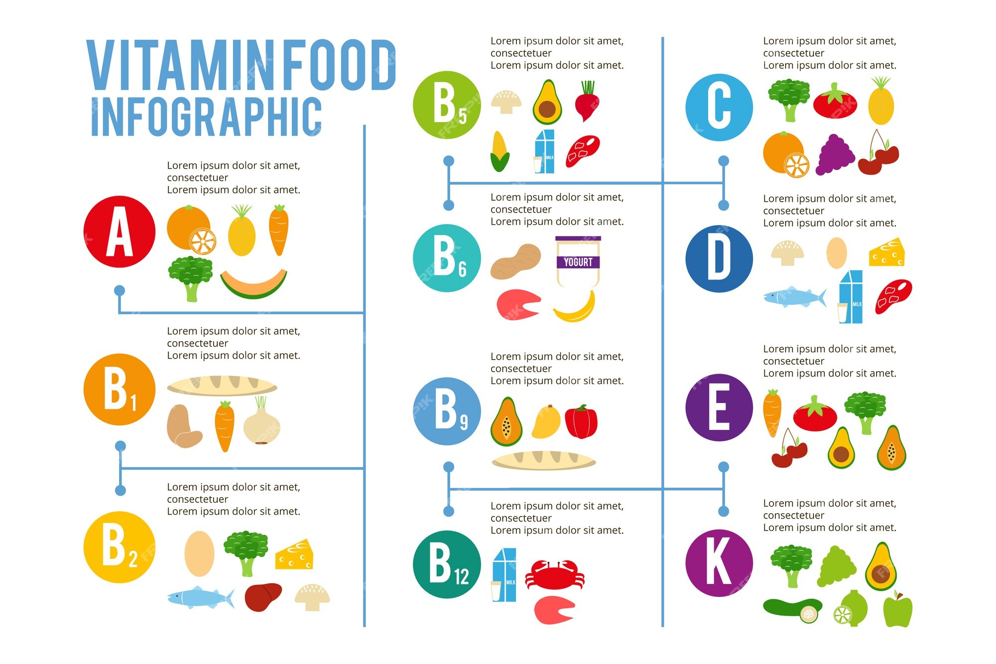 Free Vector | Vitamin food infographic