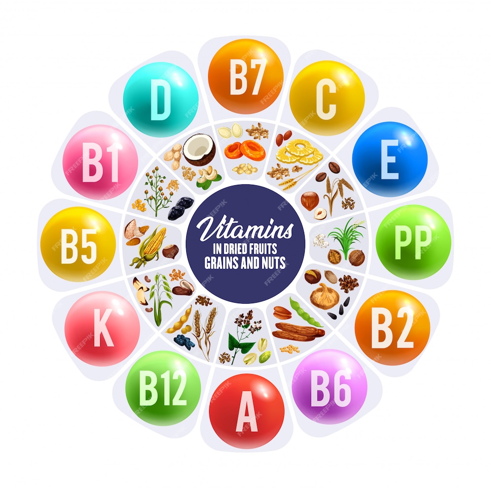 Premium Vector | Vitamins in dried fruits, nuts and cereal grains