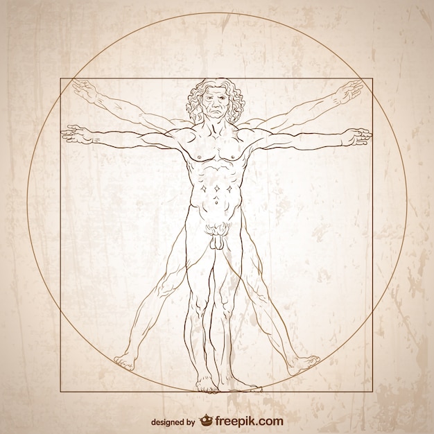 Vitruvian man vector. Vector | Free Download
