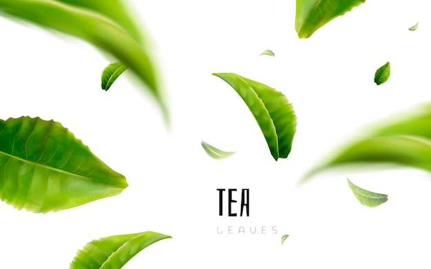 Зеленый чай на белом фоне