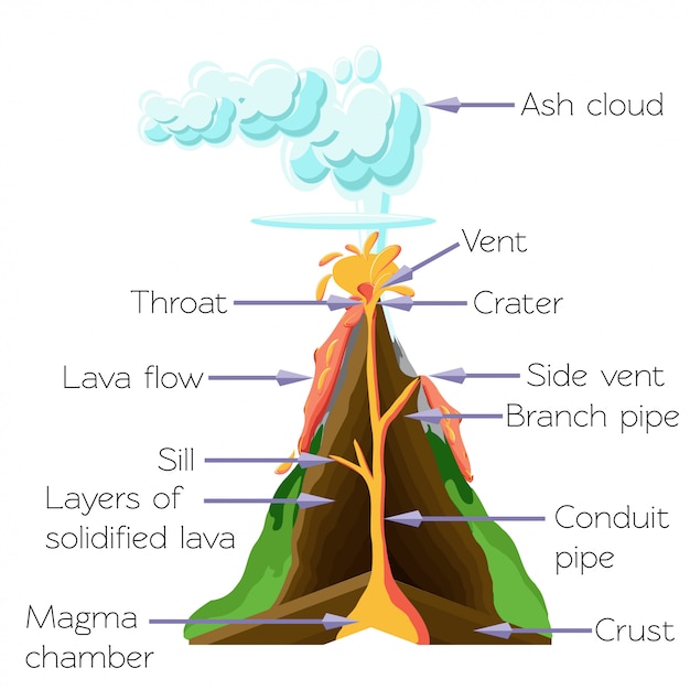 Premium Vector | Volcano cros section diagram isolated on white background.