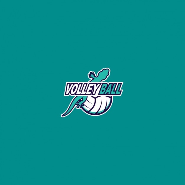 Volleyball logo