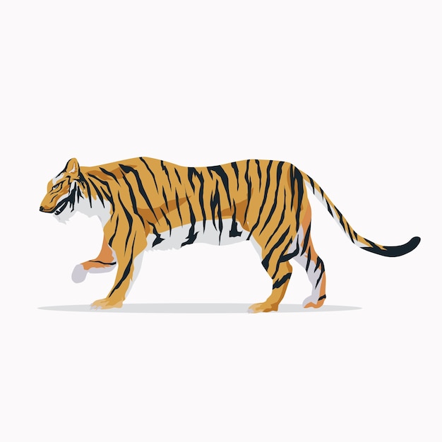Free Vector | Walking tiger background