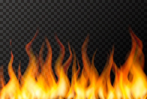 Premium Vector | Wall Of Bright Fire Flame On Transparent