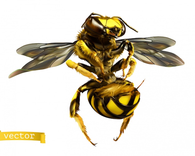 Download Wasp. 3d realistic vector | Premium Vector