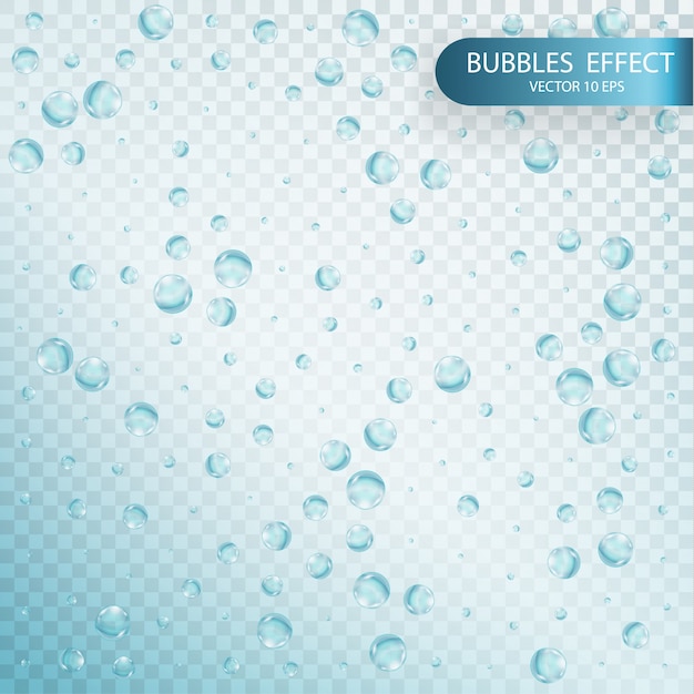 Premium Vector Water Bubbles Isolated On A Transparent Checkered