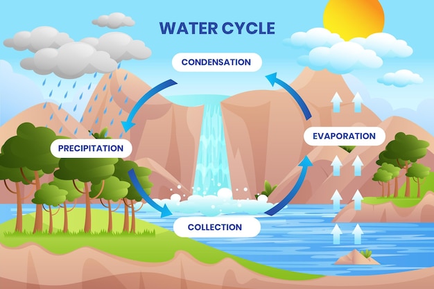 Free Vector Water Cycle Concept Illustrated