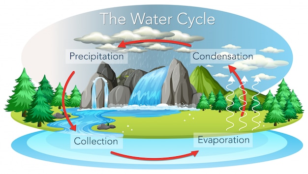 Water cycle process on earth Free Vector