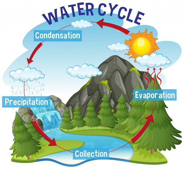 The Water Cycle - Lessons - Tes Teach