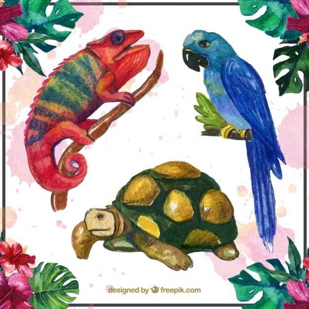 Download Watercolor animals set Vector | Free Download