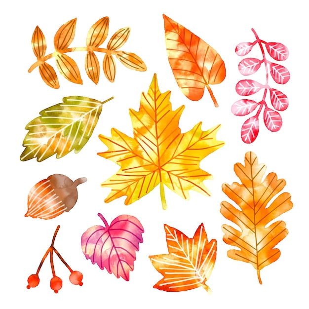 watercolor autumn leaves