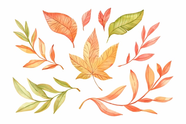 Free Vector Watercolor Autumn Leaves Collection   Watercolor Autumn Leaves Collection 23 2149065647 