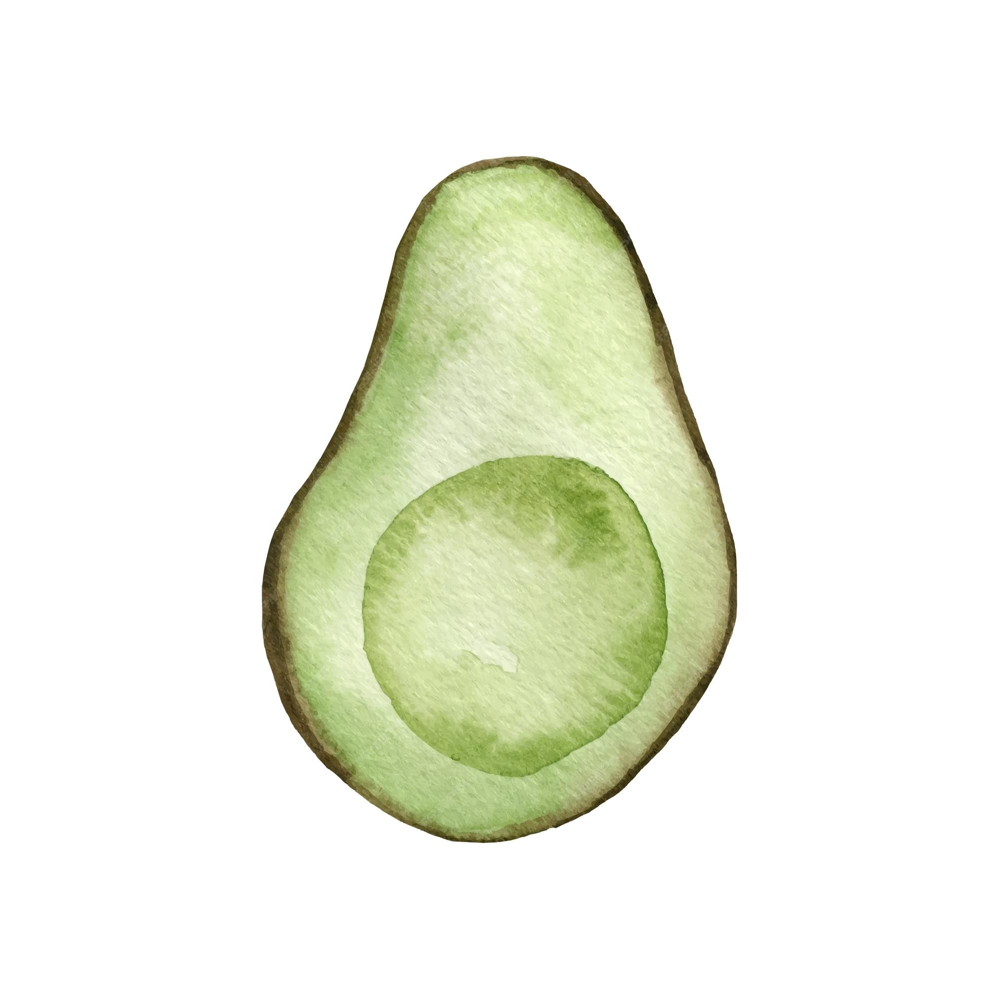 Premium Vector Watercolor avocado hand drawn organic green avocado slice