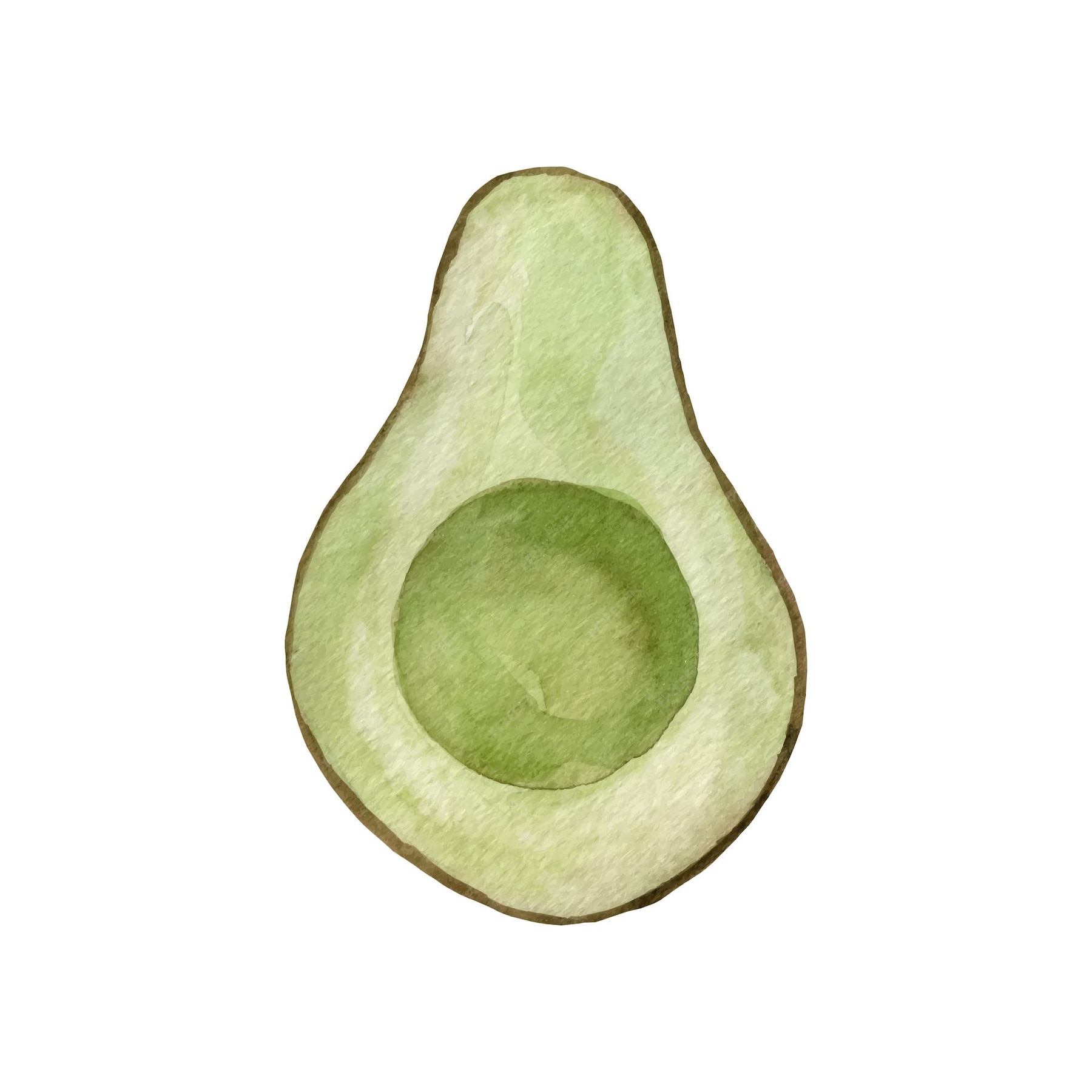 Premium Vector Watercolor avocado hand drawn organic green avocado slice