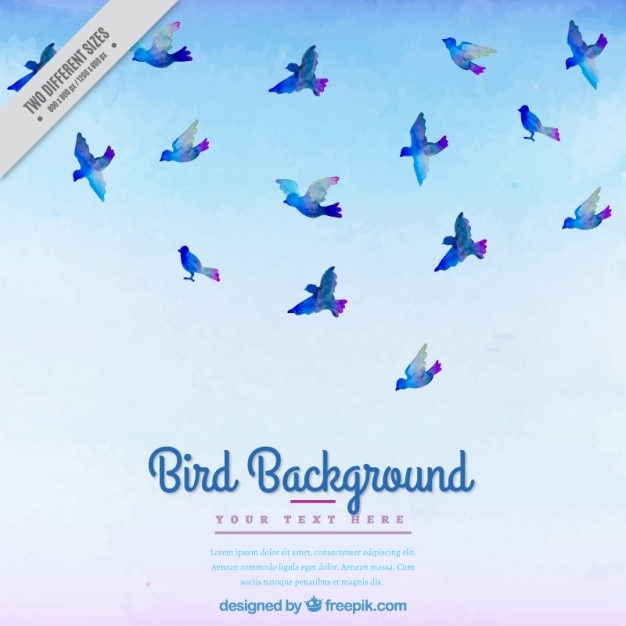 Watercolor background with blue birds