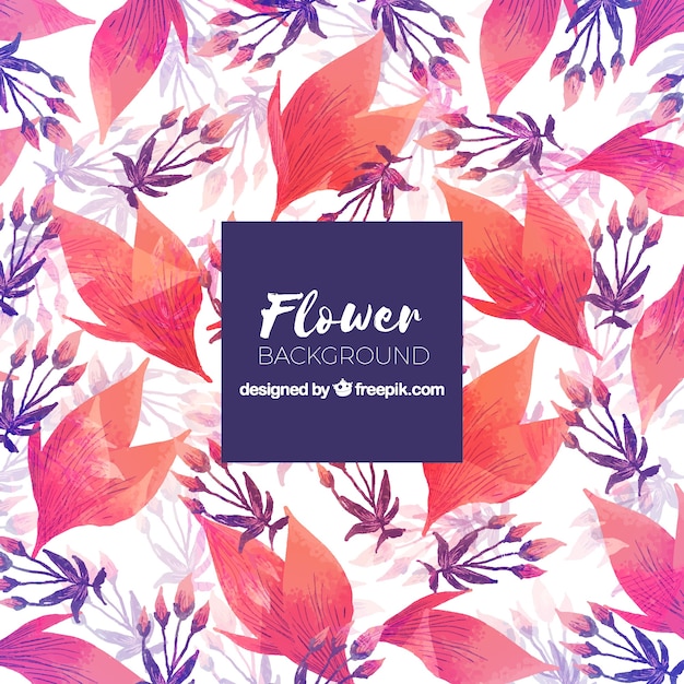 Watercolor background with exotic\
flowers