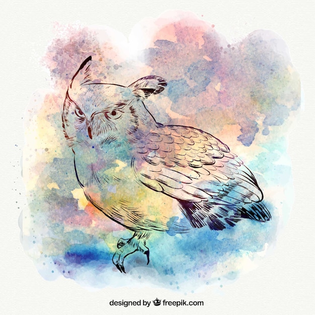 Download Watercolor background with owl sketch Vector | Free Download