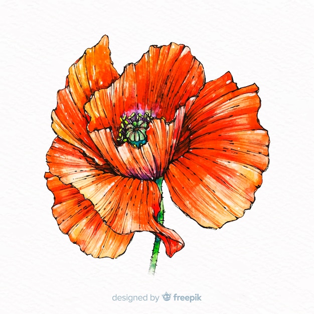 Free Vector | Watercolor beautiful coral flower