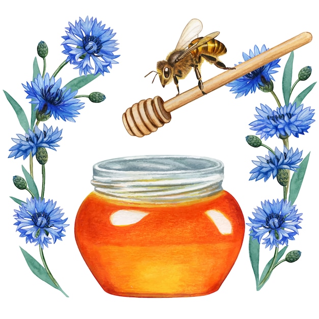 Download Watercolor bee flying on honey jam in a bluebottle wreath ...