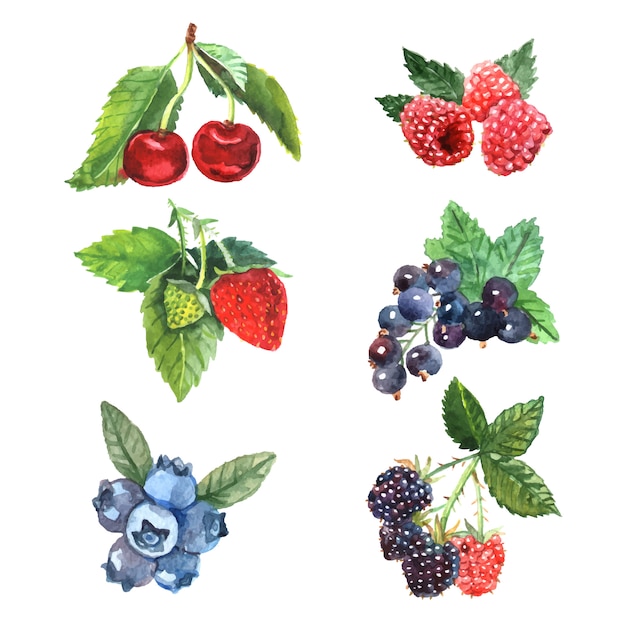 Watercolor berry set with cherry raspberry strawberry Free Vector