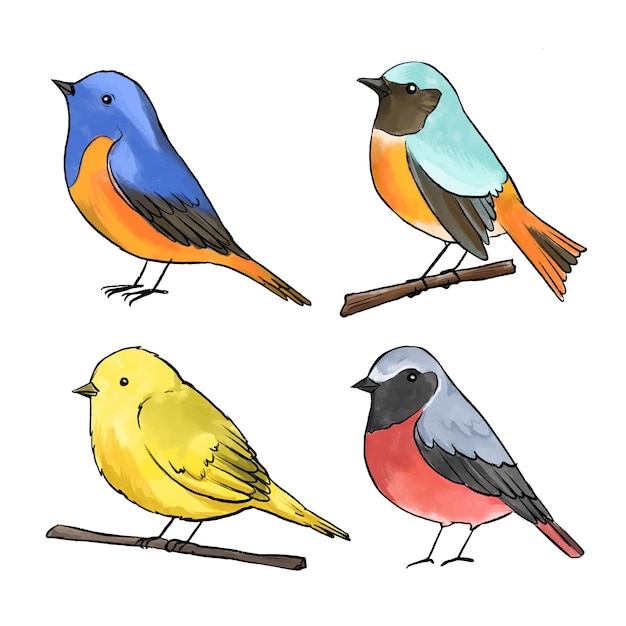 Watercolor bird collection concept | Free Vector