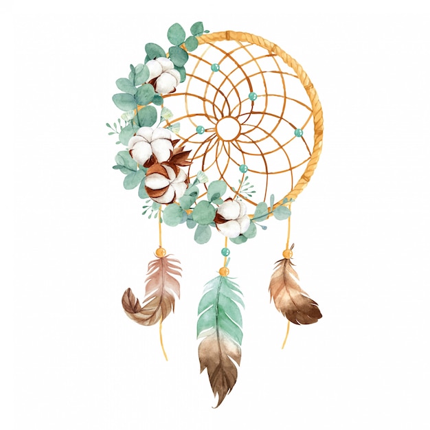 Watercolor boho dream catcher with wild cotton flower and eucalyptus leaves Premium Vector