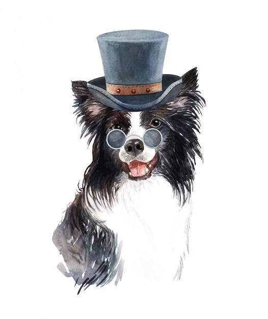 Download Watercolor border collie with sunglasses and top hat ...