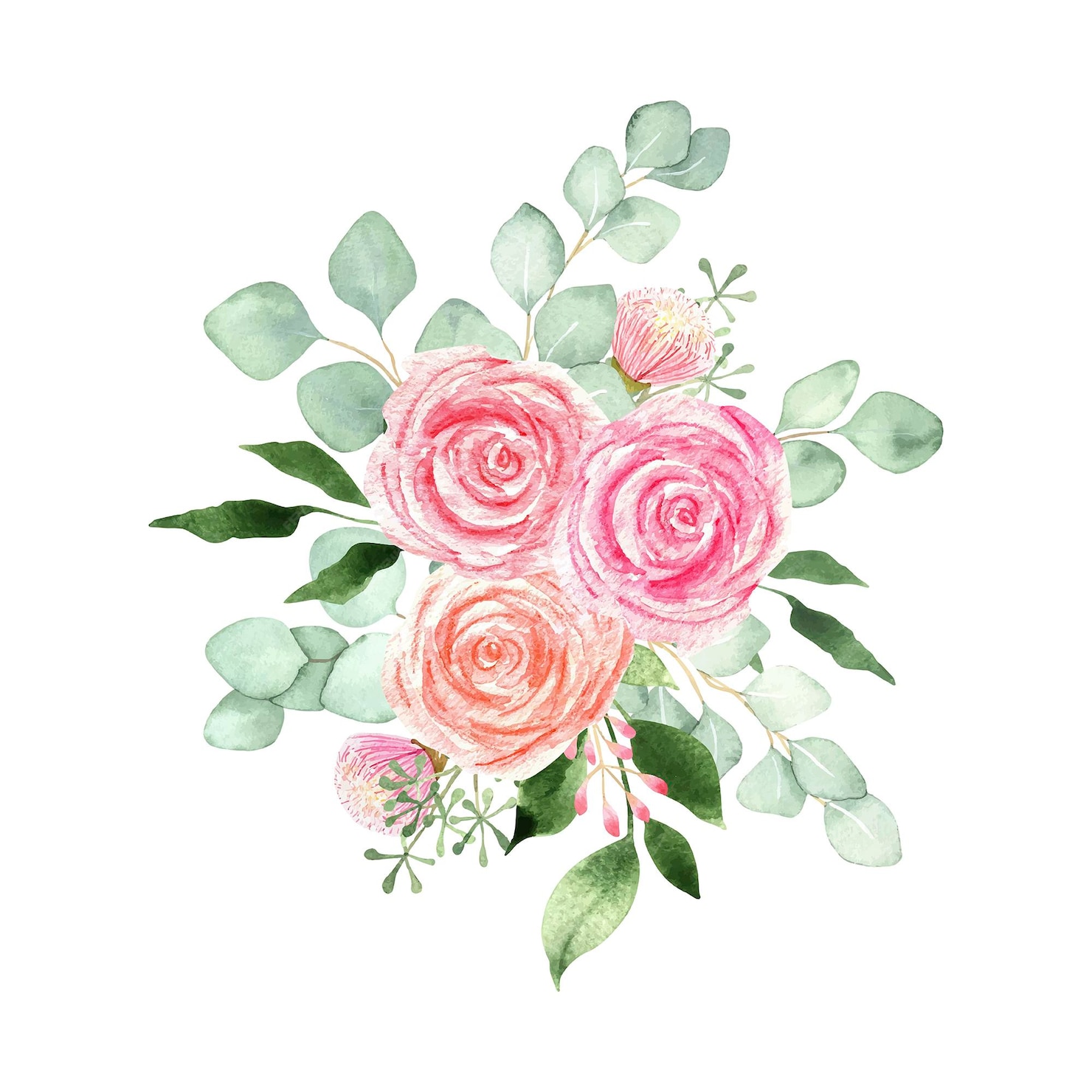 Premium Vector | Watercolor bouquet with pink roses and eucalyptus branches