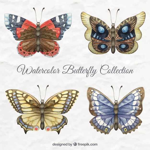 Download Watercolor butterflies in brown tones Vector | Free Download