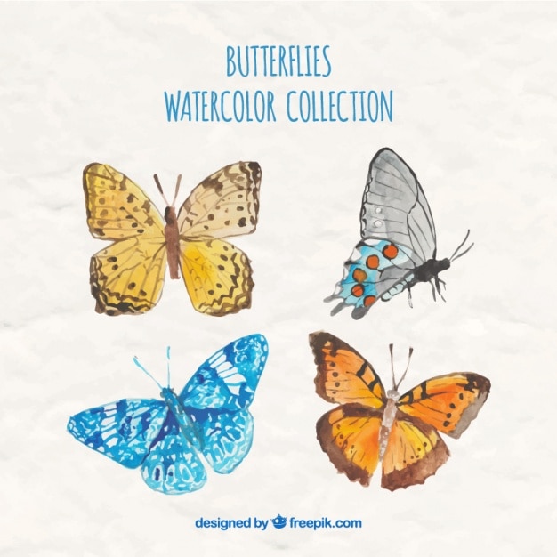 Download Watercolor butterfly collection Vector | Free Download