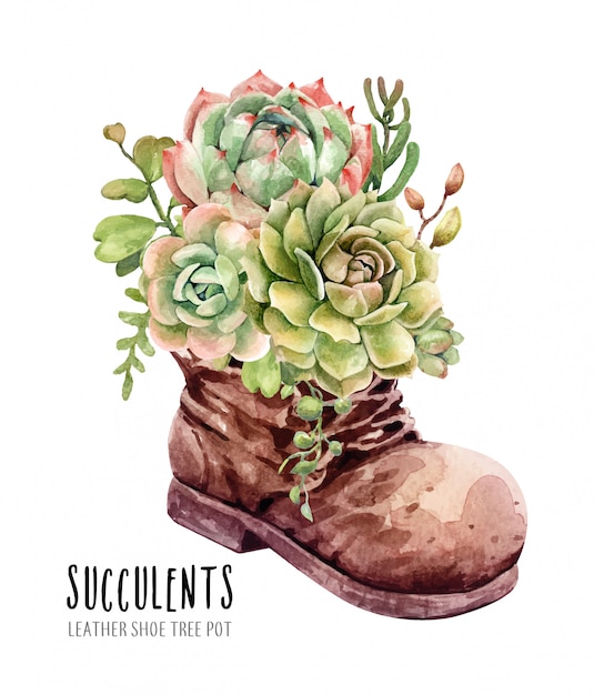 Download Watercolor cacti and succulents in leather boot flower pot Vector | Premium Download