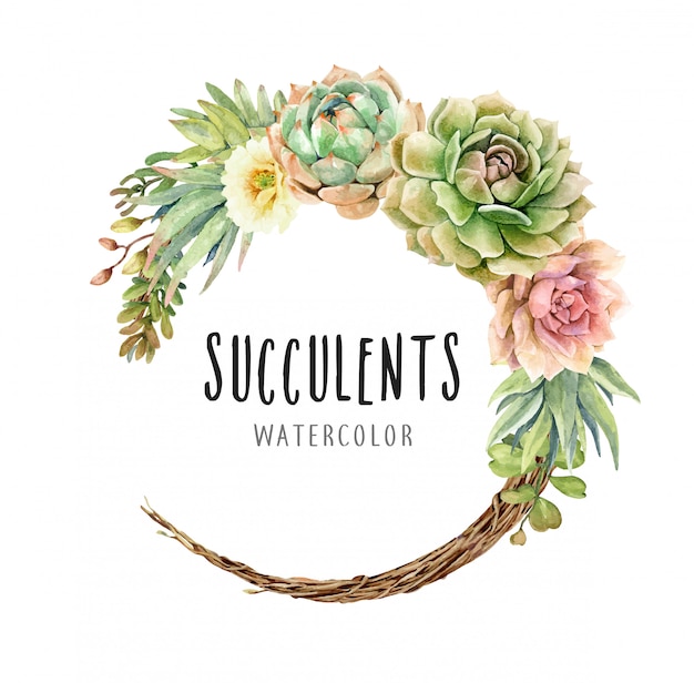 Watercolor cacti and succulents on vine wreath Vector ...