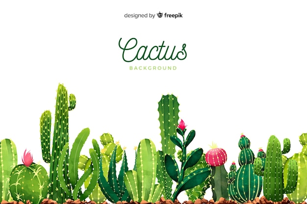 Download Watercolor cactus background | Free Vector