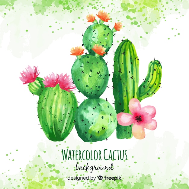 Download Free Vector | Watercolor cactus background