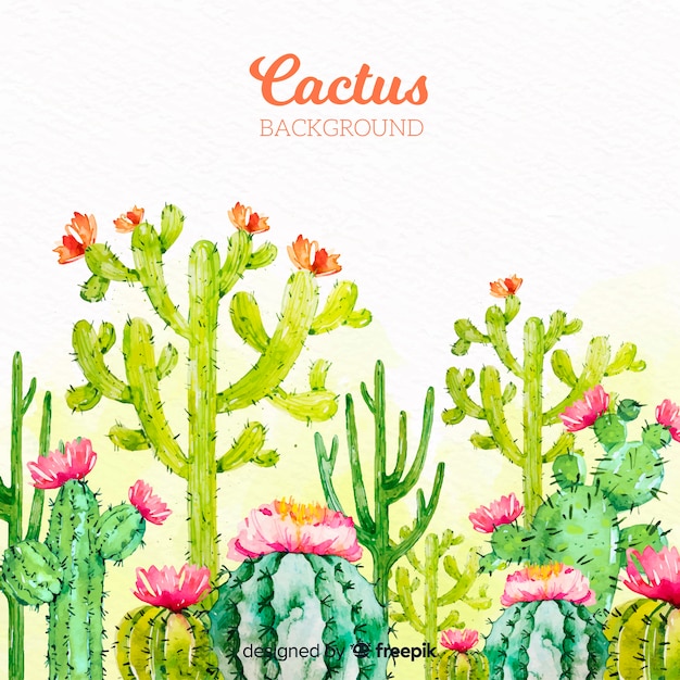 Premium Vector | Watercolor cactus background