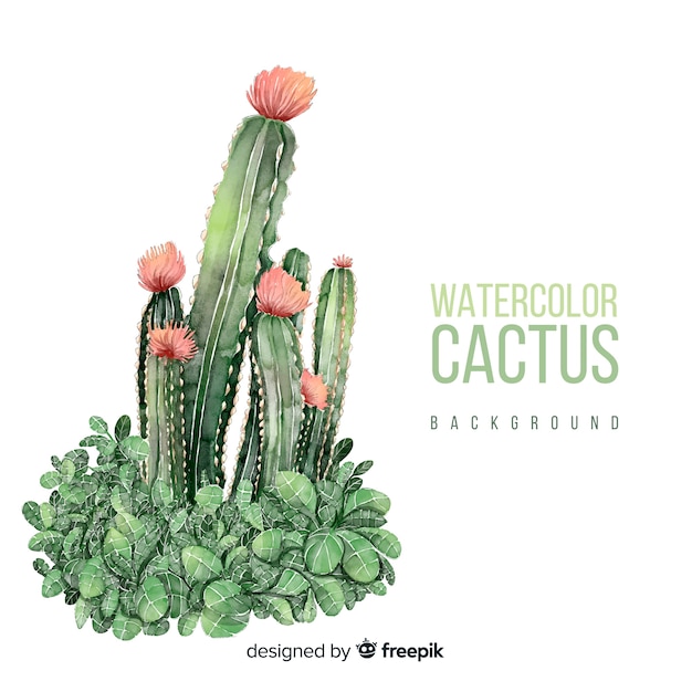 Download Watercolor cactus background | Free Vector
