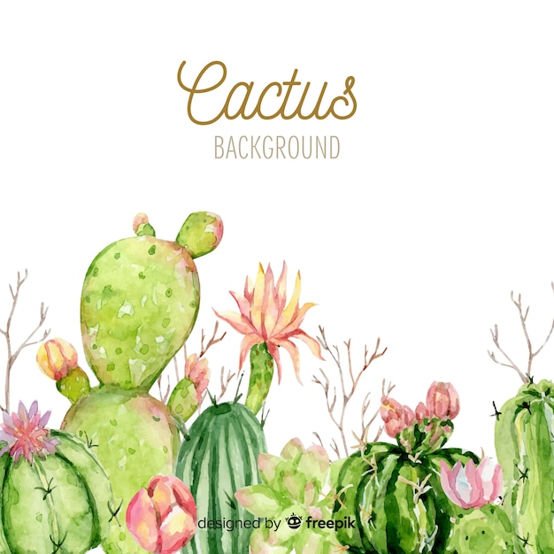 Cactus Watercolor Wallpaper