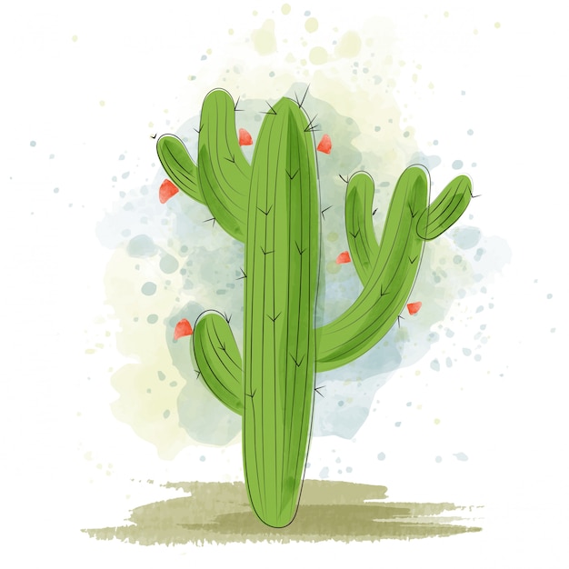 Download Premium Vector | Watercolor cactus blooming