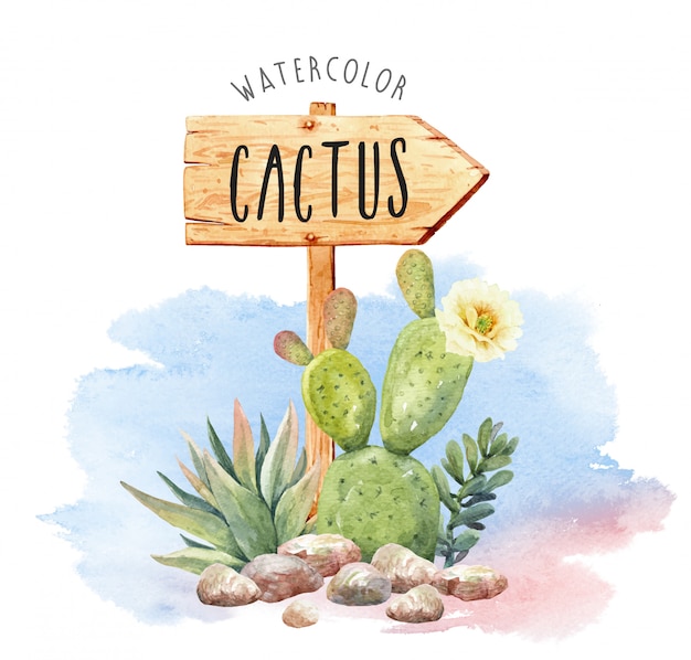 Download Premium Vector | Watercolor cactus collection with sign of wood.