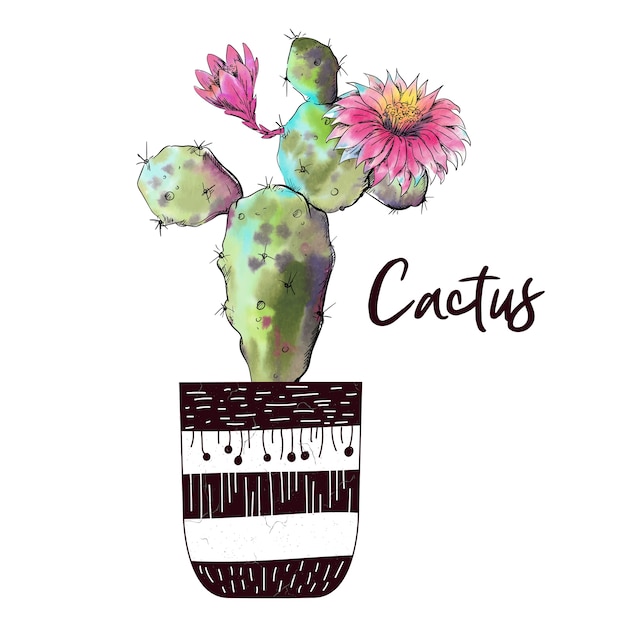 Watercolor cactus isolated on white background | Premium Vector