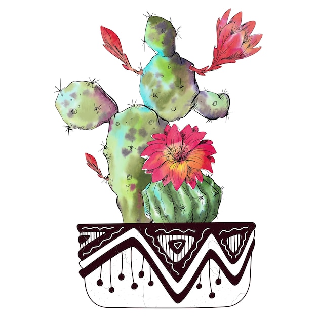 Premium Vector | Watercolor cactus isolated on white background