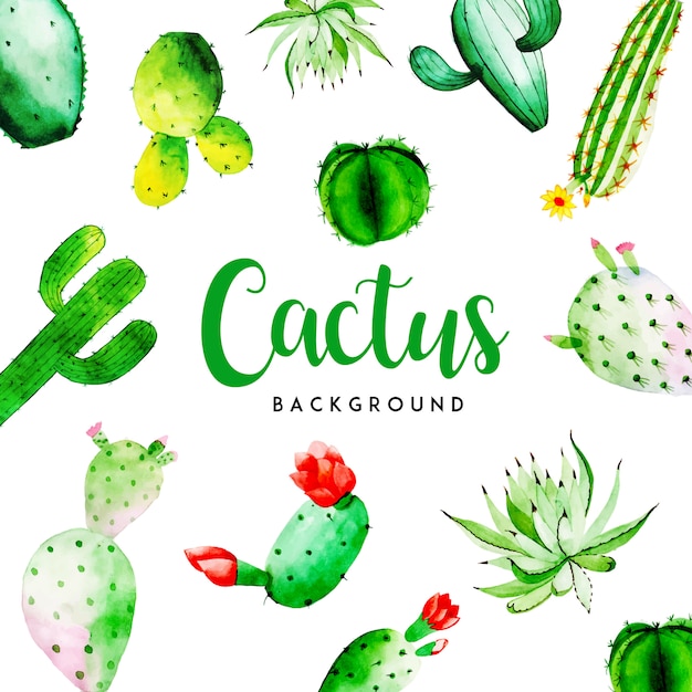 Watercolor cactus multipurpose background Vector | Premium Download