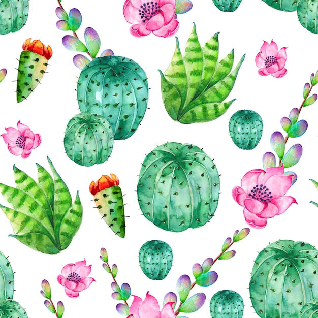 Download Watercolor cactus pattern with flowers | Premium Vector