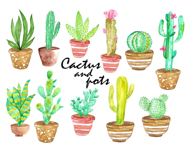 Download Watercolor cactus and pots | Premium Vector