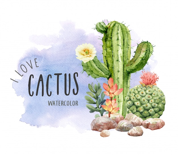 Download Watercolor cactus and succulents collection with stone. Vector | Premium Download