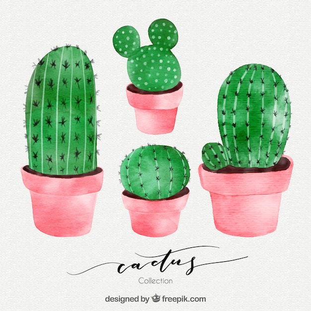 Download Watercolor cactus with cute style | Free Vector