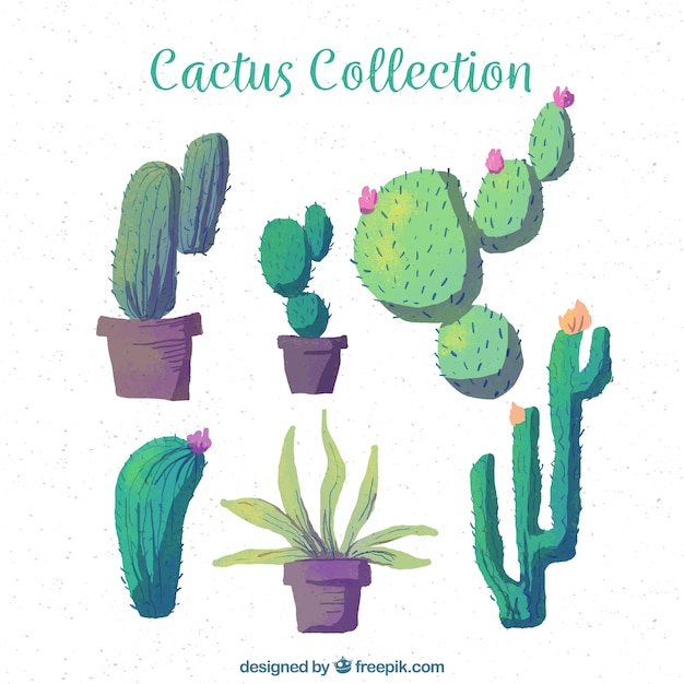 Download Free Vector | Watercolor cactus with fun style